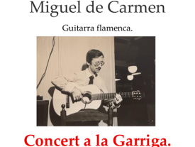 Miguel de Carmen Concert Poster