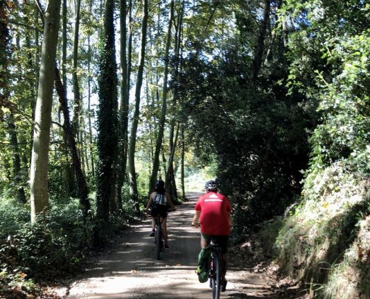 Camí obac amb dos ciclistes circulant-hi