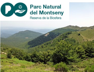  PASEADA GUIADA: "EL MONTSENY ITINERARIO - MONTAÑA De AMATISTAS"