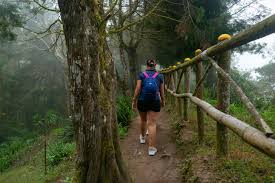 Caminada popular CEG