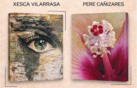 Cartell exposició 'Entre essències'
