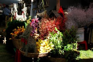 Image Christmas Market