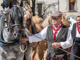 Primer pla de senyor portant un cavall