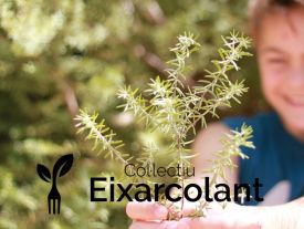 eixarcolant