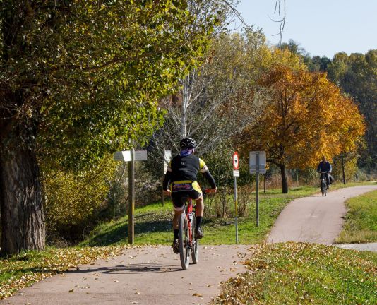 Camí de bici al congost