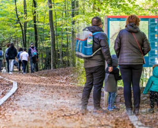  Guided walks to Montseny 2023
