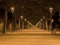 El Passeig nocturn |Pedro Garcia
