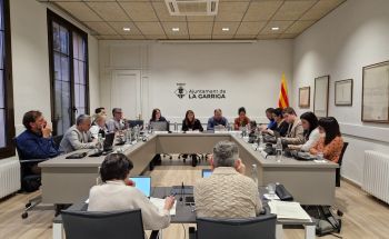 Ple de març