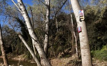 Imatge del riu Congost al seu pas per la Garriga