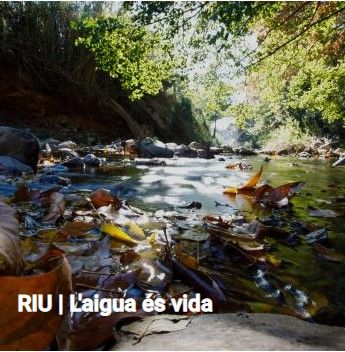 Camí del riu