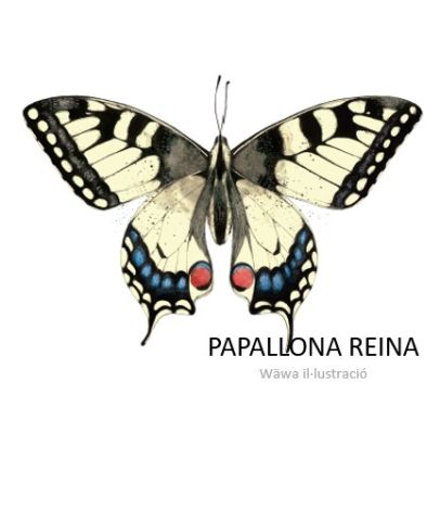 Papallona reina