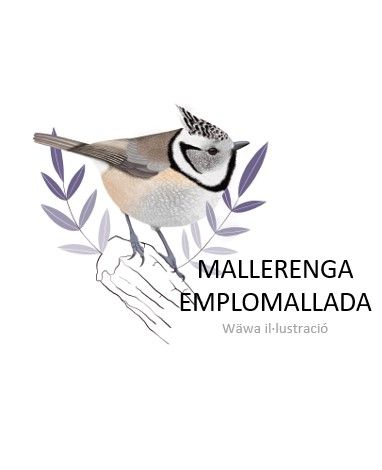 Mallerenga emplomallada