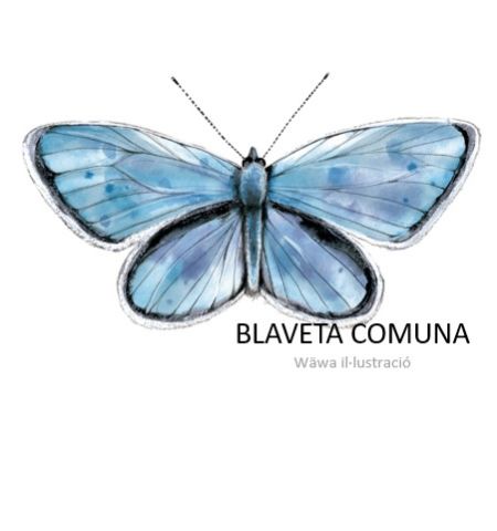 blaveta comuna