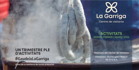 Programació 1r trimestre 2026