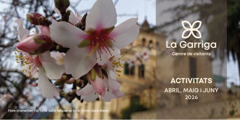 Fulletó 2n trimestre