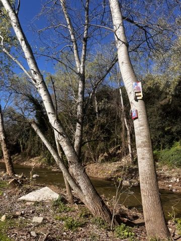 Imatge del riu Congost al seu pas per la Garriga