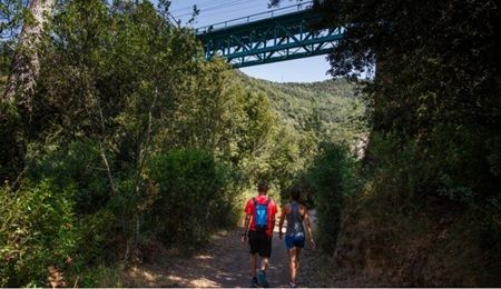 Imatge petit tram camí la Garriga el Figaró