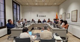 Ple de març