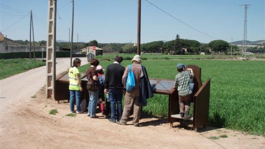 Camp aviació Rosanes