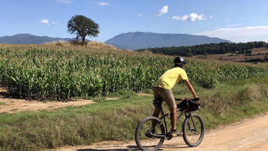 Jove en bicicleta i imatge de camps al costat