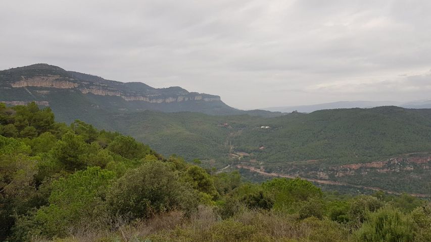 General view of the landscape