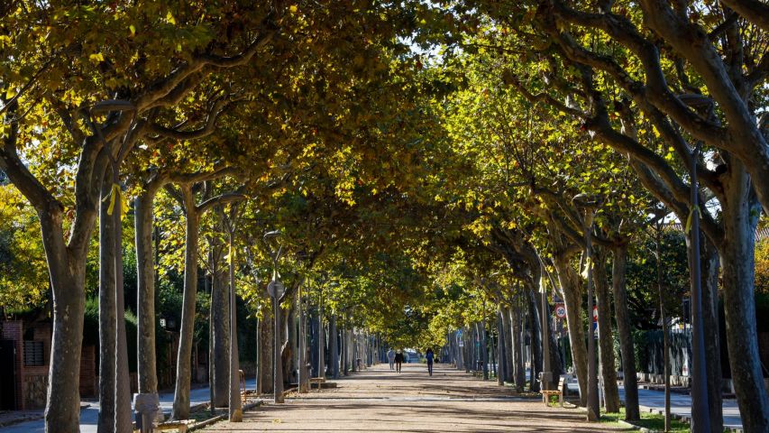 Passeig