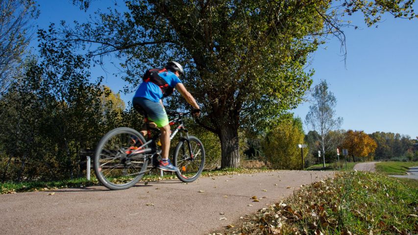 Bici de BTT i carril bici