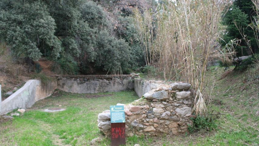 Basses cànam Can Queralt