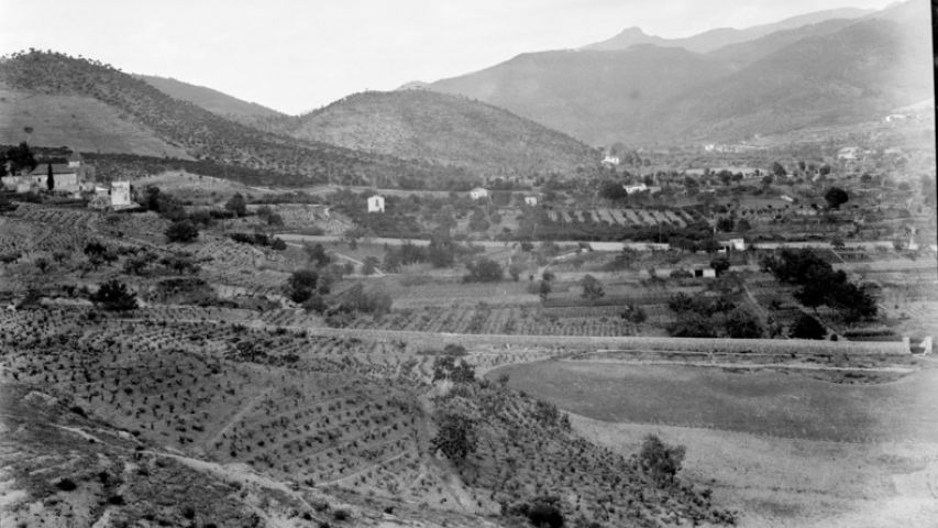 La tríada mediterrània al Pla de les Parets / Sara Riera, CDH de la Garriga