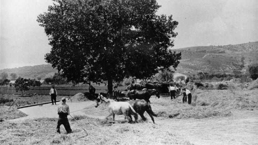 Foto: Cedida per Albert Benzekry