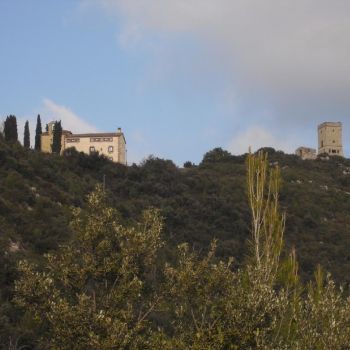 Vista del Santuario del Puigraciós y la torre