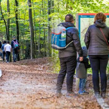  Guided walks to Montseny 2023